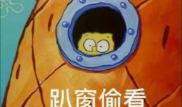 派大星娱乐爆料,揭秘娱乐圈幕后故事